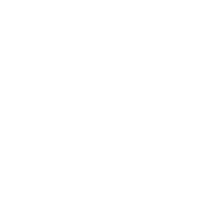 Big Heart Pet Brands
